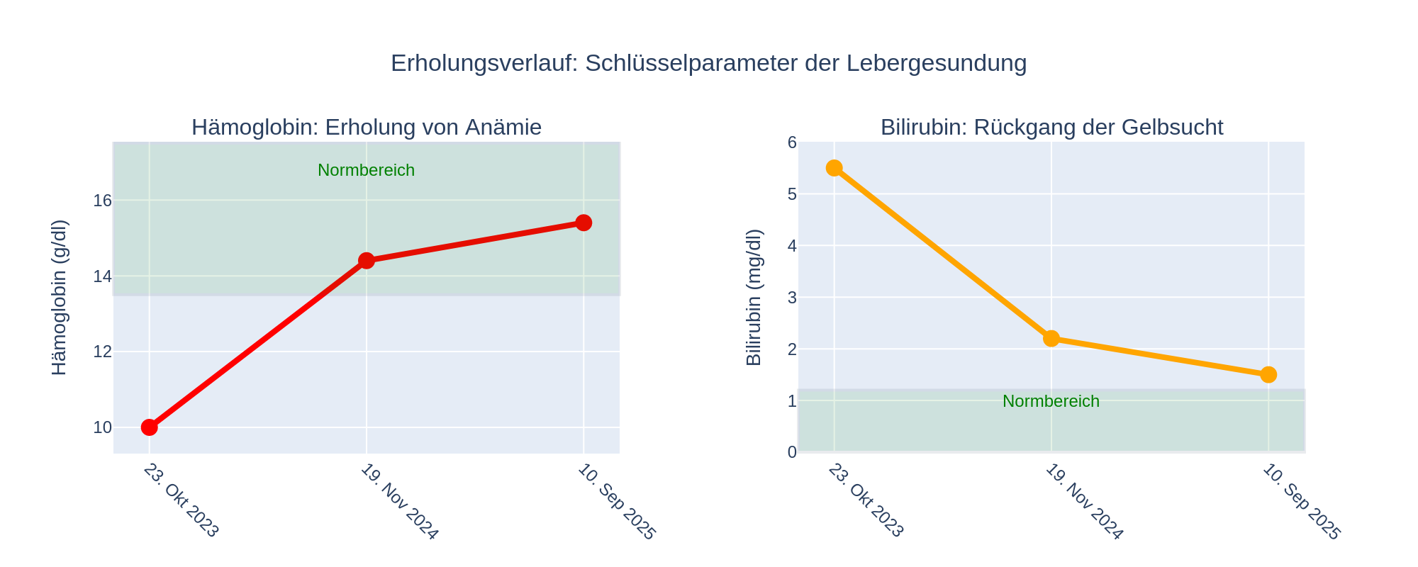Erholungsverlauf Schlüsselparameter